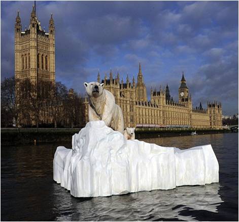 polar-bear-on-thames-52